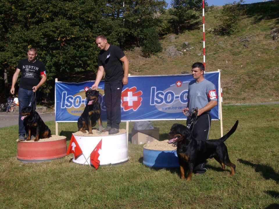 Excalibur vom Quercus Wald Excalibur vom Quercus Wald